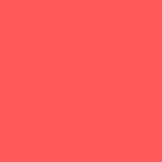 Coral Twill Visor