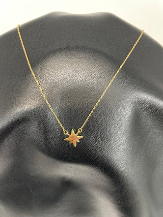 Gold Starburst Necklace #EN1392-GD