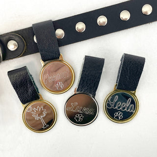 Engraved Pet Tag #LEDOG-PERS