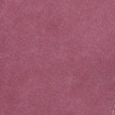 Fushia/White Trucker Cap