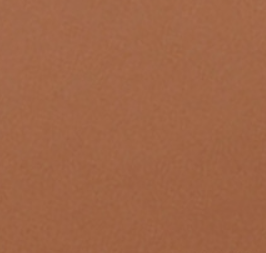 Camel Clear Purse