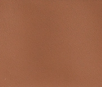 Camel Waverly Backpack