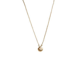 Seashell Necklace