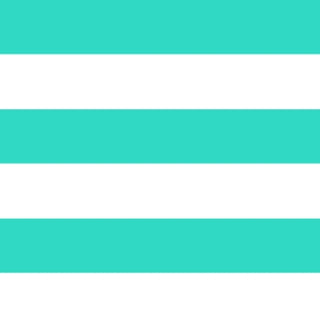 Mint Stripe Wet Bag