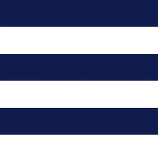 Navy Stripe Wet Bag