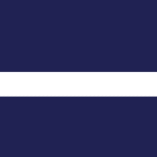 Navy Stripe Cosmetic Bag 